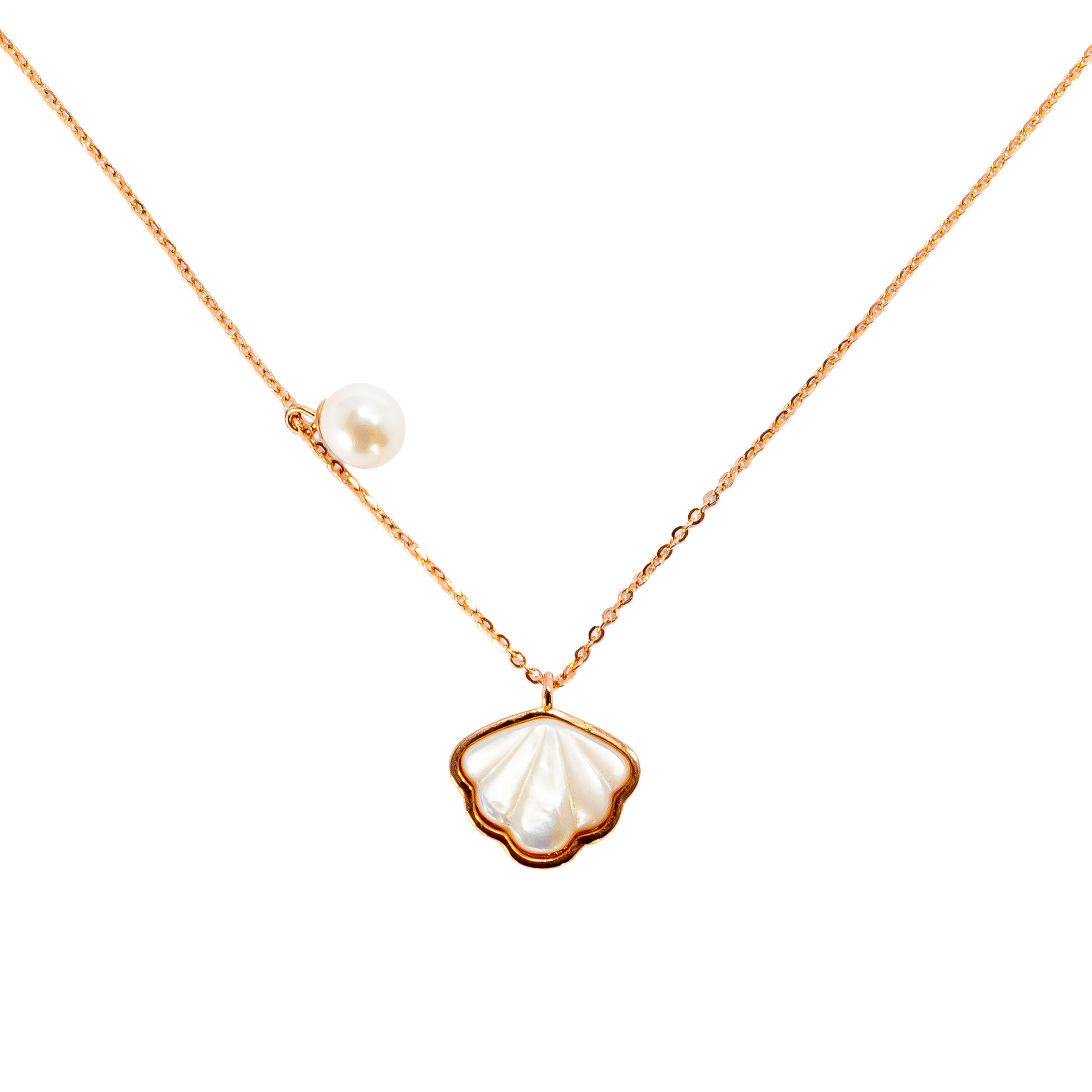 “Shell” Kolye Ucu ve Zincir